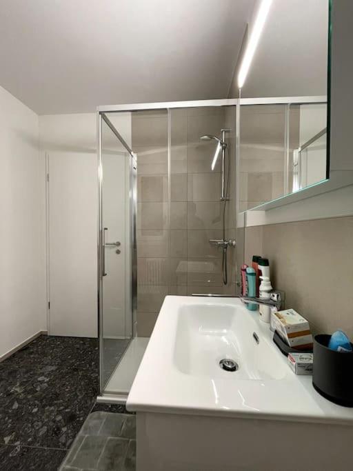 Five Stars Comfort Apartment Lugano Near The Lake المظهر الخارجي الصورة