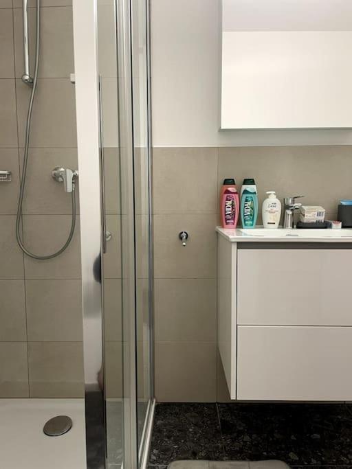 Five Stars Comfort Apartment Lugano Near The Lake المظهر الخارجي الصورة